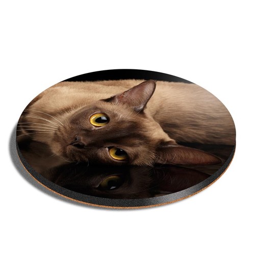 Round mdf coaster burmese cat - round,