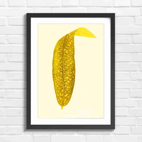 Botanical vintage leaf art - botanical,