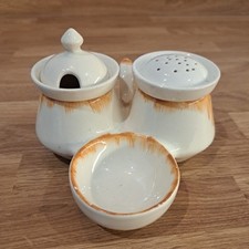 Swinnertons Hampton Ivory Orange Floral Cruet Set 