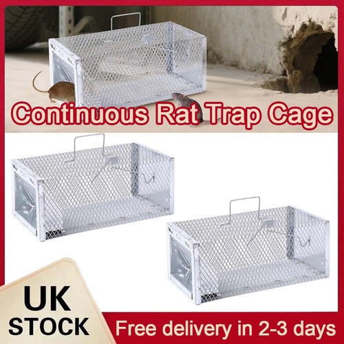 Squirrel trap humane no - 2x,