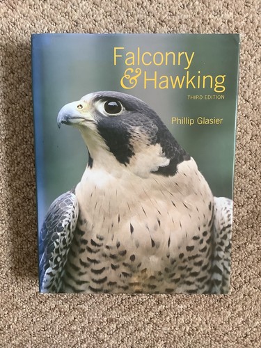 Falconry hawking by - &,