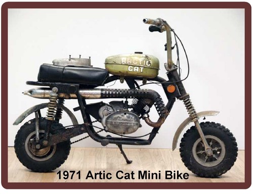 1971 artic cat mini bike - 1971,