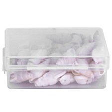 Natural Shells Sea Snail