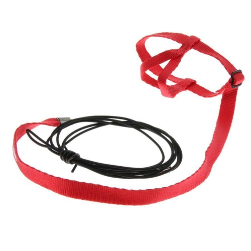Adjustable harness leash - harness,