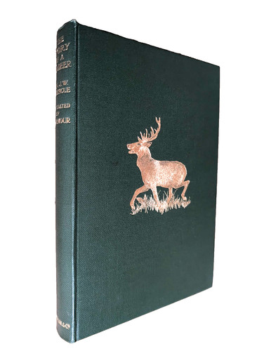 Story red deer - red, by