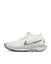 Nike Pegasus Trail 5 Gore-Tex Summit White FQ0908-102 size 44/46EU