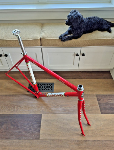 Lemond tourmalet road frame - lemond,