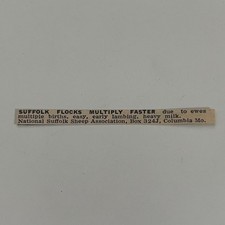 National Suffolk Sheep