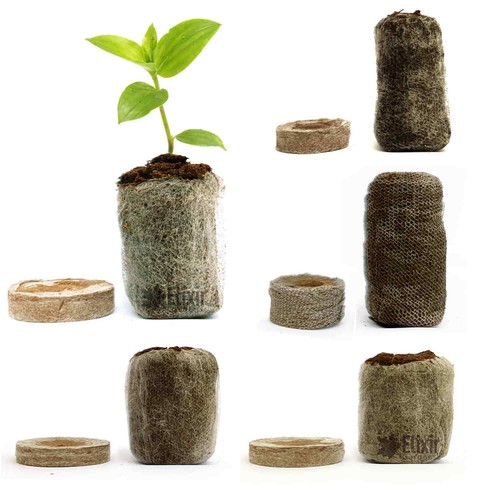 Jiffy coir coco propagation - coir,