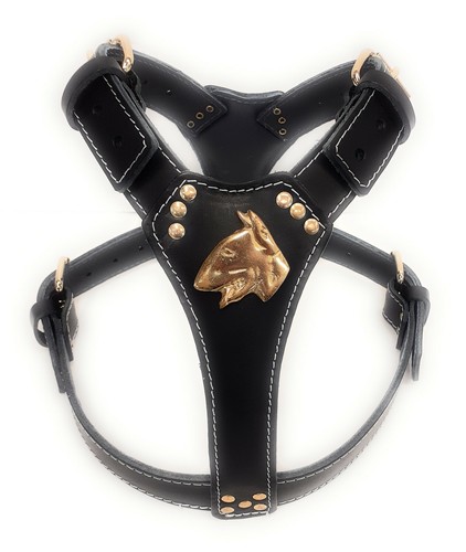 Black leather dog - leather,