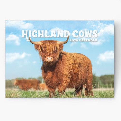 2026 highland cow - cow, calendar