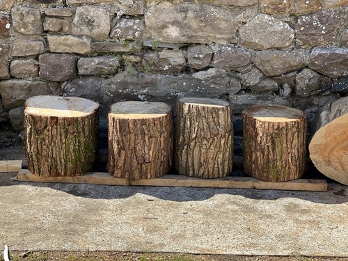 Rustic tree stump - stool, /