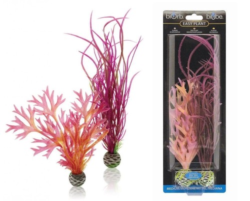 Fish tank plants oase biorb - fish,