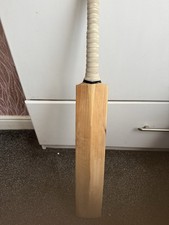 English Willow Cricket Pro