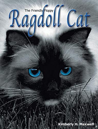 The friendly floppy - floppy, ragdoll