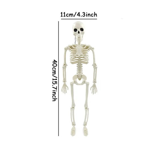 40cm human shape - bones, posable