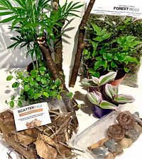 LIVING Tropical Terrarium Vivarium Habitat Kit (MEDIUM) For Insects Frog Reptile