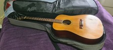 washburn D12 N  dreadnought