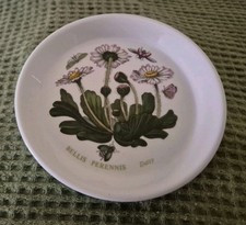 Lovely Portmeirion Botanic