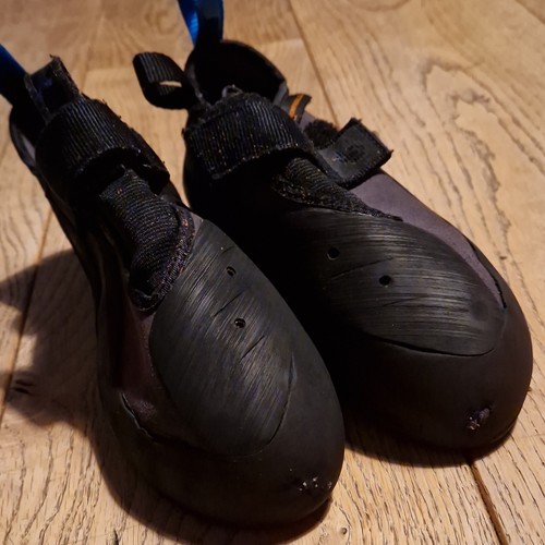 Unparallel regulus climbing - regulus,