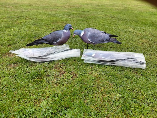 Pigeon silhouette decoys box - silhouette,