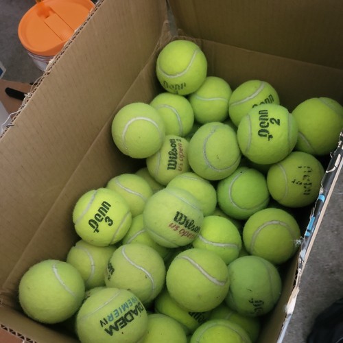 Used tennis balls mixed - tennis,