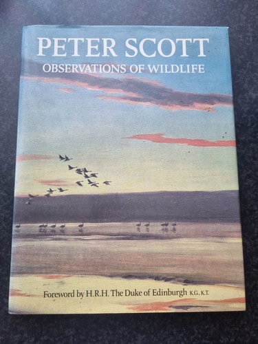 Observations wildlife peter - of,