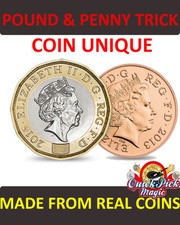 COIN UNIQUE NEW £1 COIN
