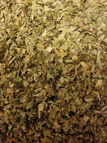 Wild garlic leaf allium - garlic,