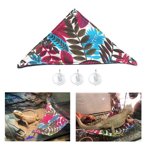 Reptile lizards hammock - reptile,