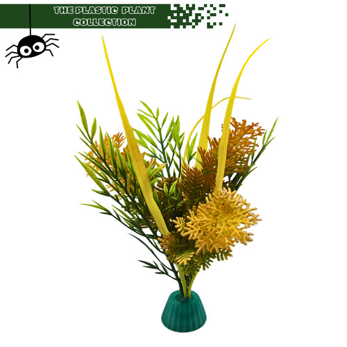 Display plants for frogs - for,
