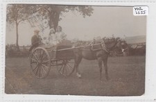 AUGHTON Sheffield   Yorkshire    Horse & Trap of H Johnson with Children RP