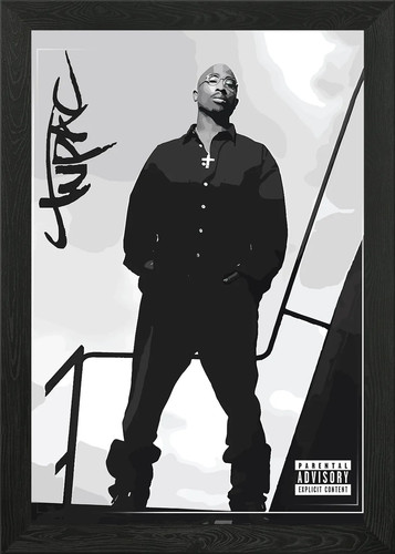 Tupac shakur framed - shakur,