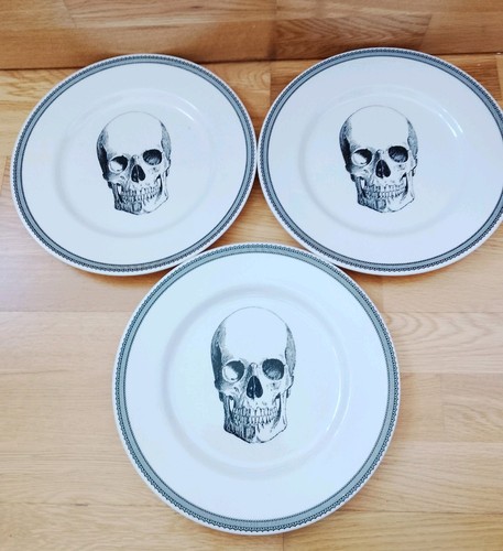 Stafford pottery skull - pottery,