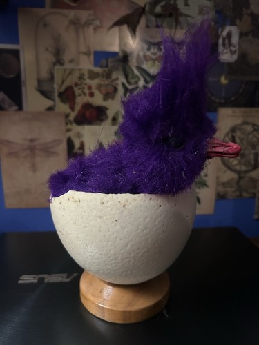Terrible taxidermy ostrich egg - terrible,
