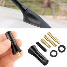 CAR BEE-STING STUBBY SHORT