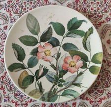 Wall plate. Karjalanruusu