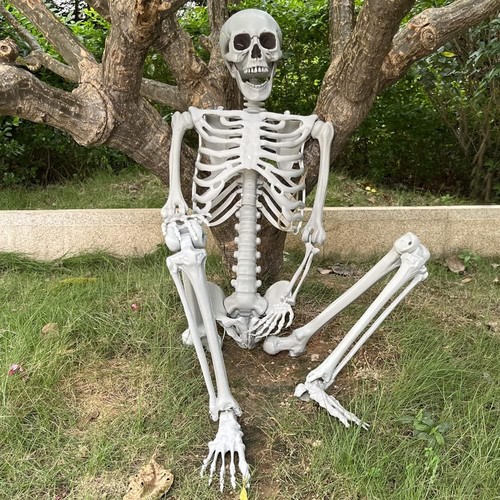 4ft halloween skeleton full - skeleton,