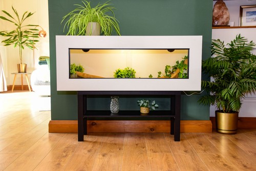 4ft modern white reptile - modern,