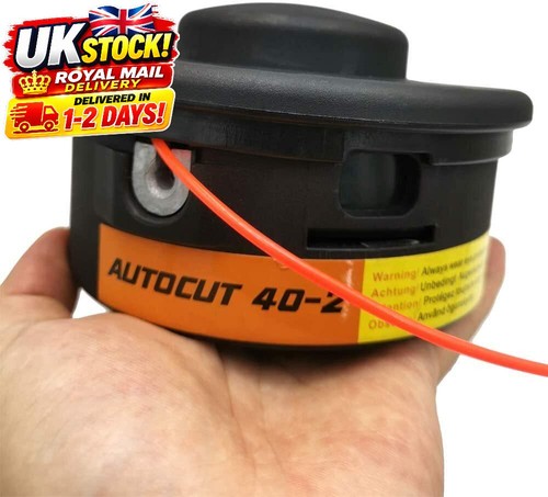 Strimmer head for - strimmer,