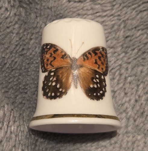 Vintage tropical butterfly - vintage,