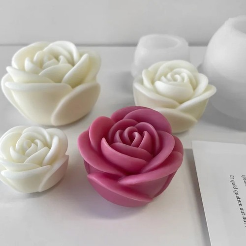 2024 new flower - new,