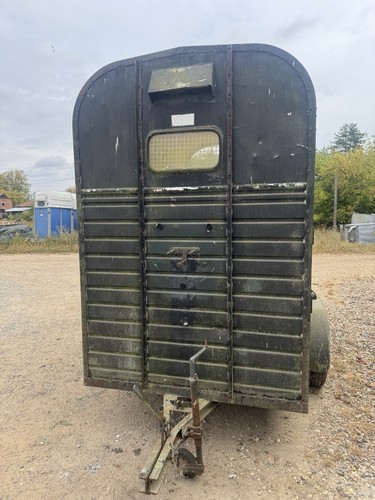 Rice horse box - rice,