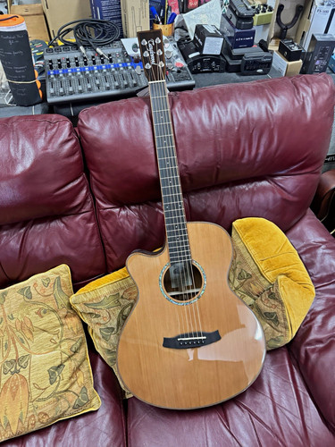 Tanglewood rosewood smart - rosewood,