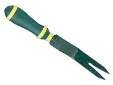 Bulldog Evergreen Daisy