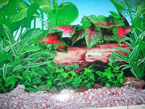 Vinyl aquarium fish tank - aquarium/, /
