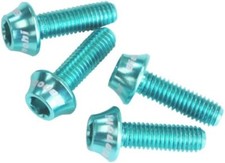 Bianchi Bottle Cage Bolt 4Pieces Set Celeste Color with Bianchi Logo