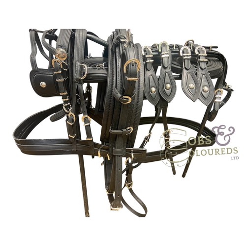 Biothane driving harness - biothane,