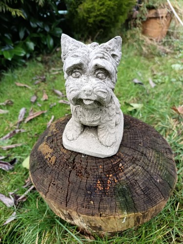 Yorkshire terrier stone garden - terrier,