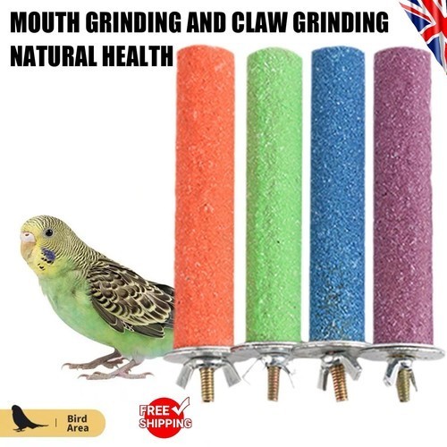 Bird perch beak - –, &